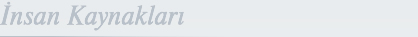 nsan Kaynaklar