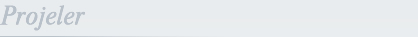 Projeler